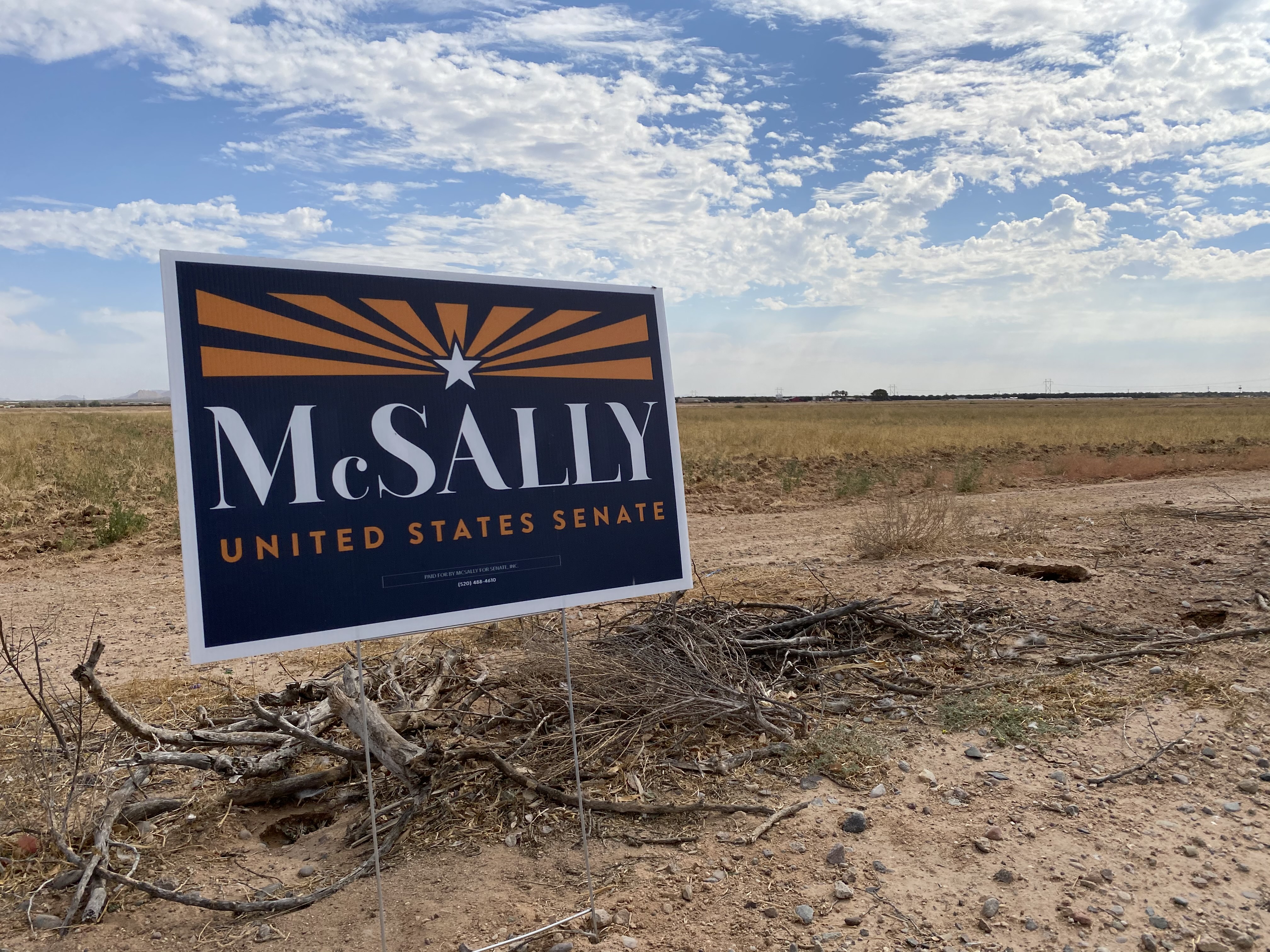 Martha McSally sign