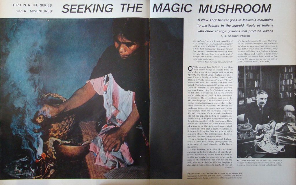 This image has an empty alt attribute; its file name is Life-magazine-Seeking-the-Mushroom-Psilocybin-1024x641.jpg